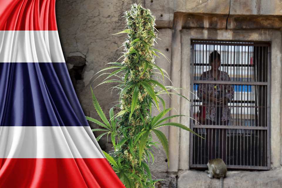 Usage de drogue fortement puni en Thaïlande